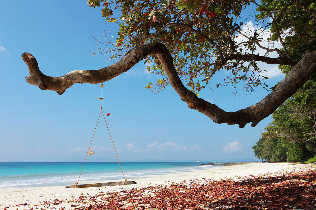 Swing at the edge of the coastal forest of Radha Nagar Beach with a view of the Andaman Sea, Beach 7, Havelock Island, Andamans, India