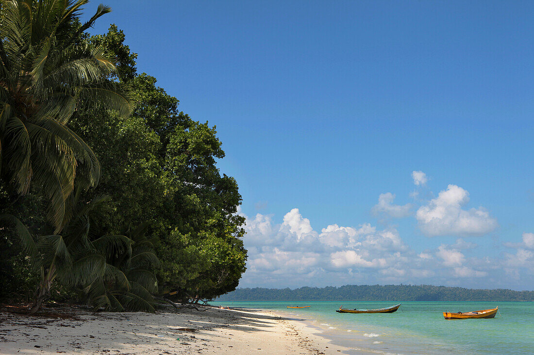 Kokospalmen und Boote am Strand 5, Havelock Island, Andamanen, Indien