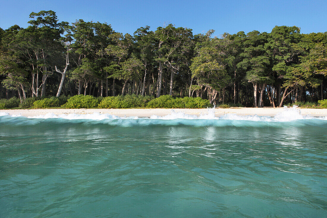 View from the sea to Radha Nagar Beach and its coastal rainforest, Beach 7, Havelock Island, Andamans, India