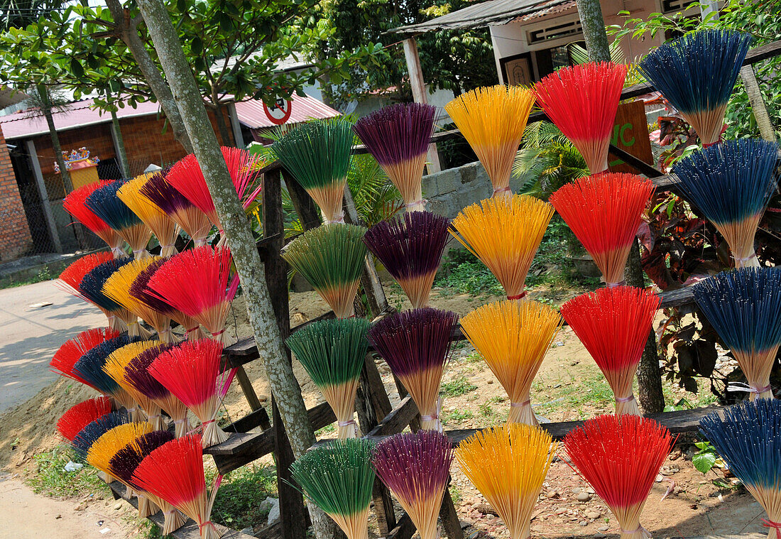 Feather dusters near Hue, Vietnam