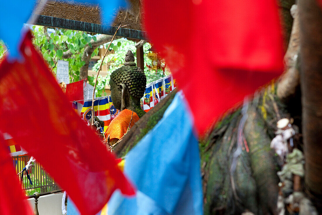 Buddhastatue an einem heiligen Bodhi Baum mit Gebetsfahnen im Gangaramaya Tempel, Colombo, Sri Lanka, Asien