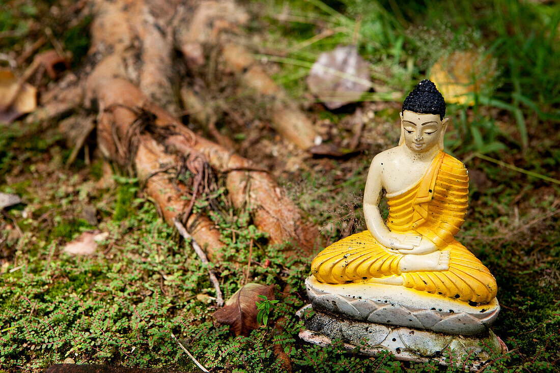 Little Buddha statue as offering at the Seema Malaka temple on Beira Lake, Colombo, Sri Lanka, Asia