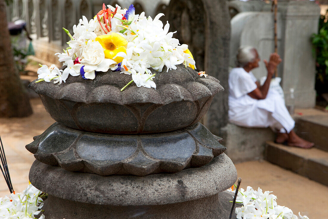 Blumenopfer im Kelaniya Raja Maha Vihara Tempel, Colombo, Sri Lanka, Asien