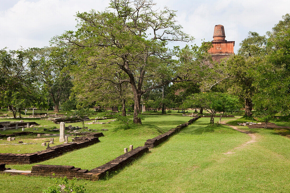 Blick auf die Jetavana Dagoba, Jetavana Vihara Tempel, Sacred City, Anuradhapura, Sri Lanka, Asien