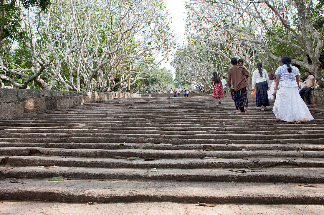 Steps made of stone leading to the mountain monastery of Mihintale, Sri Lanka, Asia