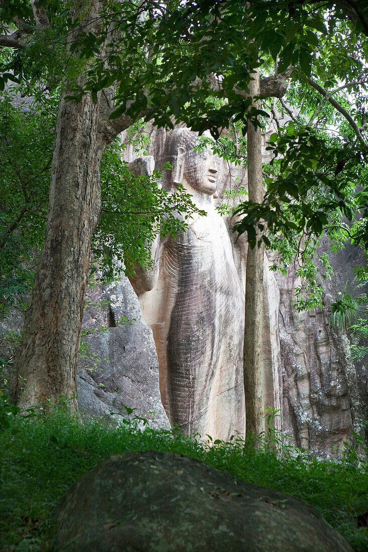 Larger than life sized standing Buddha named Sasseruwa at the cave monastery Rasvehera, Sri Lanka, Asia