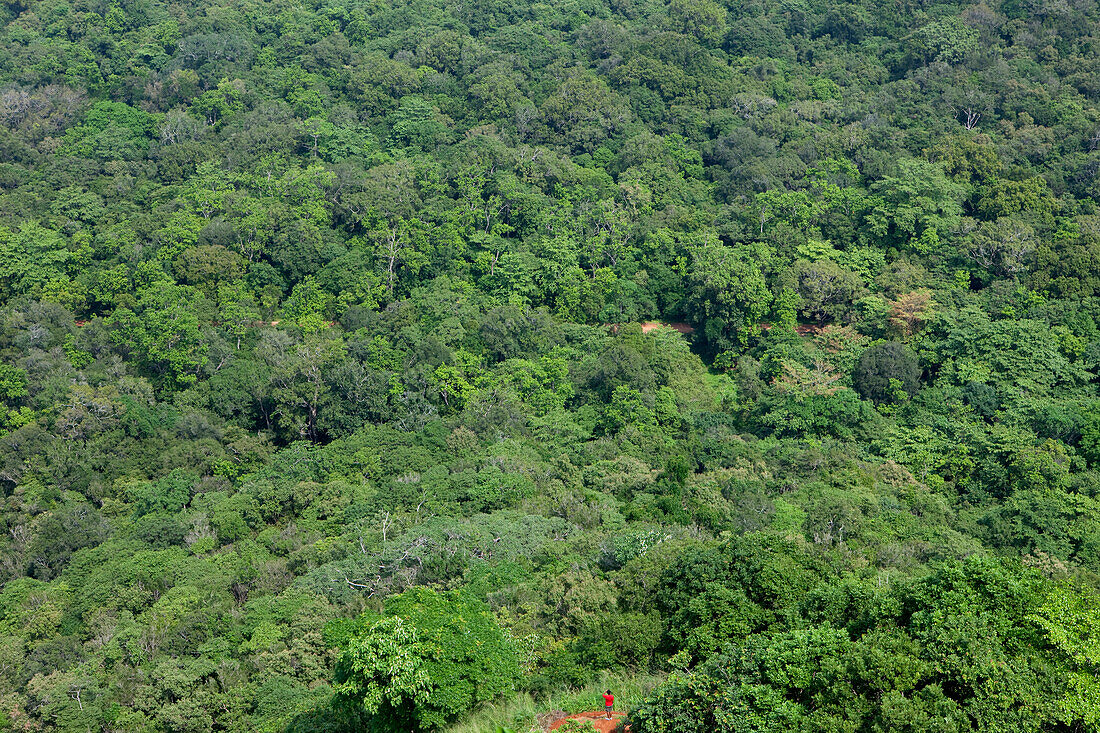 Blick vom Sigiriya Felsen runter auf den geschützten Wald, Sigiriya, Sri Lanka, Asien