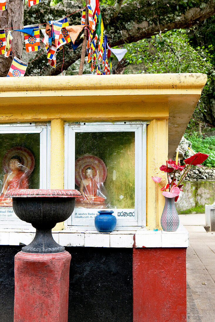 Buddhastatuen am heiligen Bodhibaum des Dowa Felsentempel, Ella, Hochland, Sri Lanka, Asien