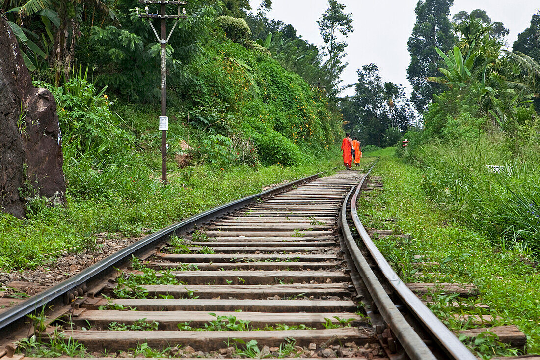 Buddhist monks walking along the track of Sri Lankas most beautiful railway line trough the highland, Ella, Highland, Sri Lanka, Asia
