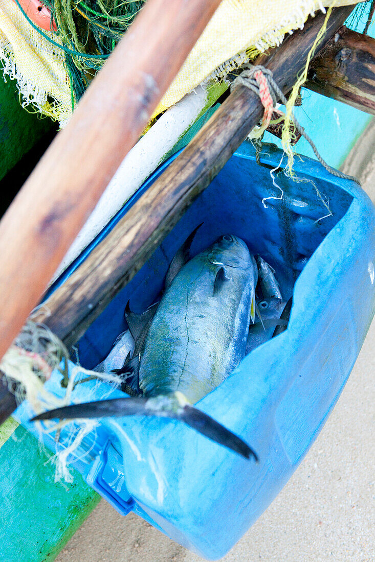 Fang eines Fischers am Strand von Talalla, Talalla, Matara, Südküste, Sri Lanka, Asien