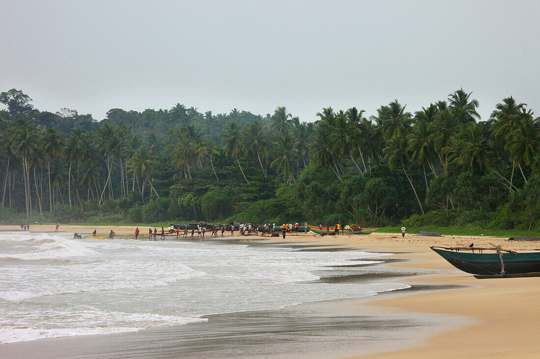 Singhalesische Fischer am Strand von Talalla holen ihr Netz ein, Talalla, Matara, Südküste, Sri Lanka, Asien