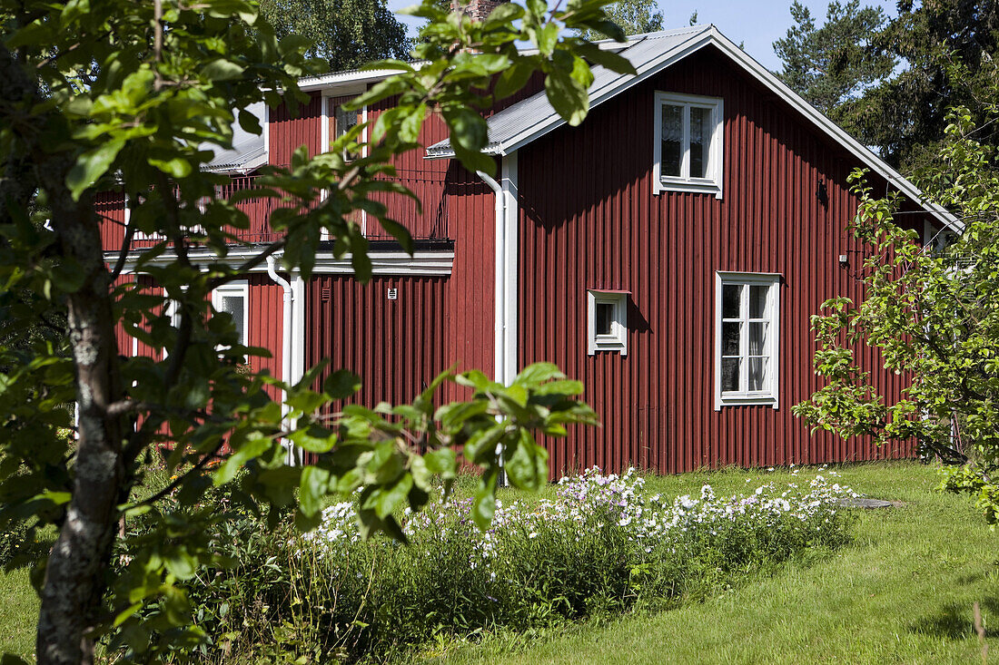 Schwedisches Holzhaus im Sonnenlicht, Höga Kusten, Västernorrland, Schweden, Europa