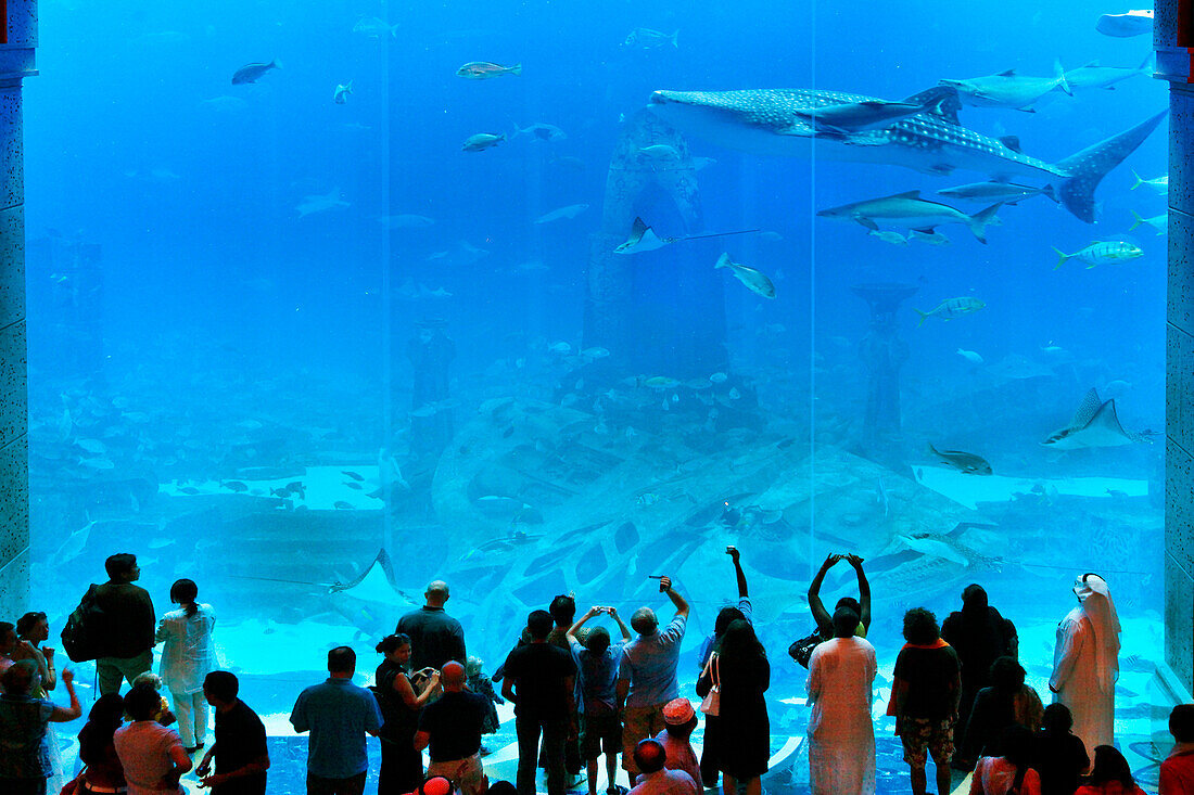 Atlantis Hotel, The Palm Jumeirah, Visitors watching the Aquarium, Manta stingray, whale