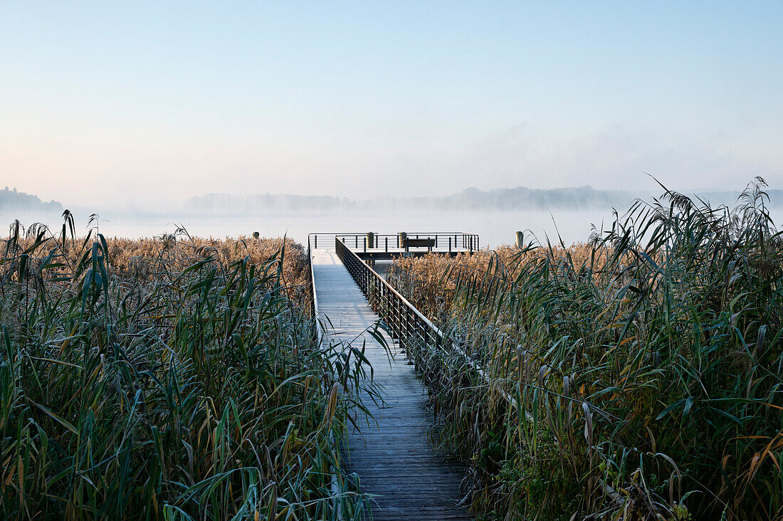 Landing Stage, wooden jetty at lake Scharmuetzelsee, Bad Saarow, Land Brandenburg, Germany