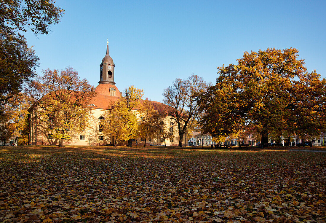 Kirchplatz im Herbst mit Stadtkirche St. Marien, Neuruppin, Land Brandenburg, Deutschland