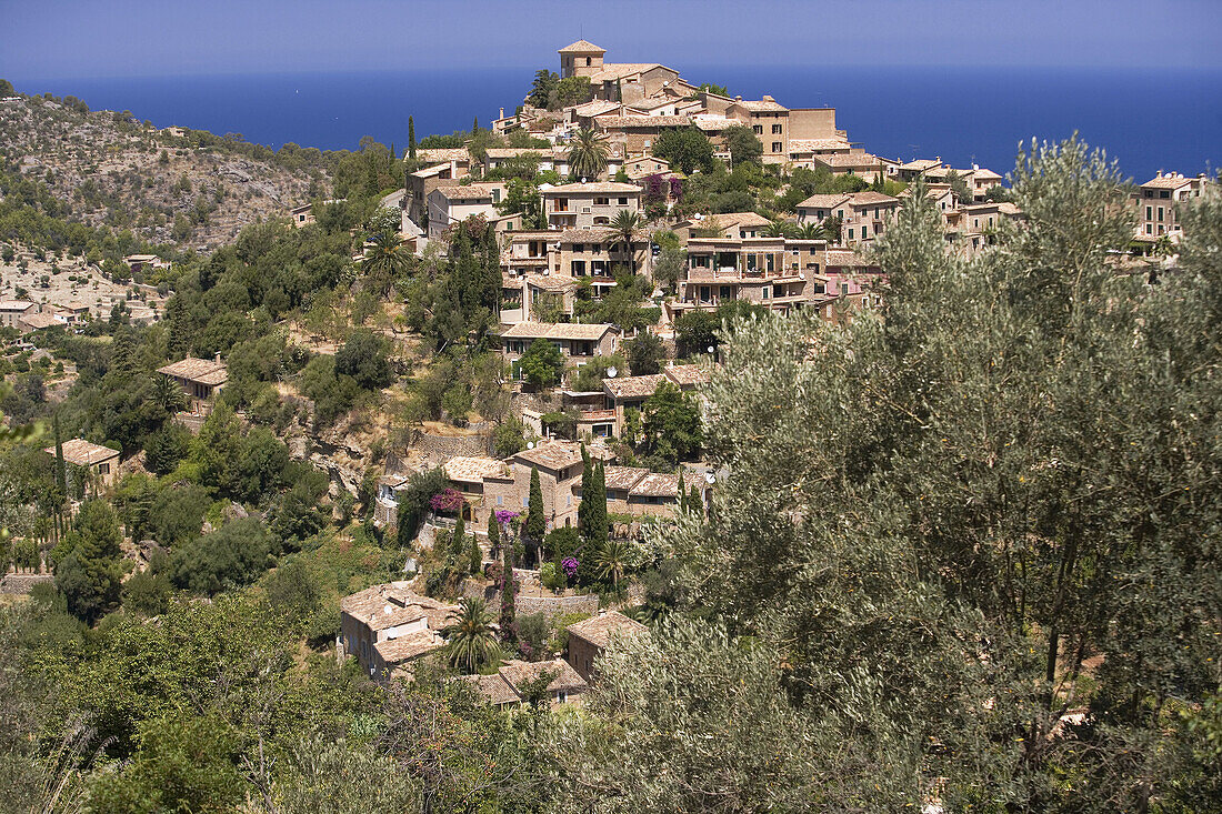 Deià, Mallorca, Spanien