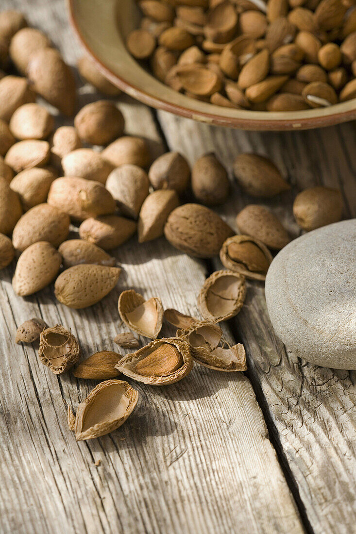 Almonds, Mallorca, Balearic Islands, Spain