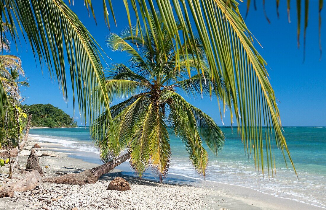 Cahuita National Park, Costa Rica