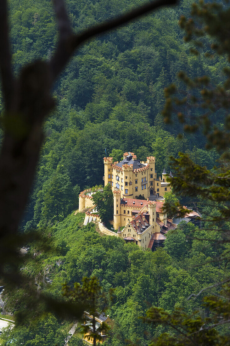 Hohenschwangau Castle, Bavaria, Germany