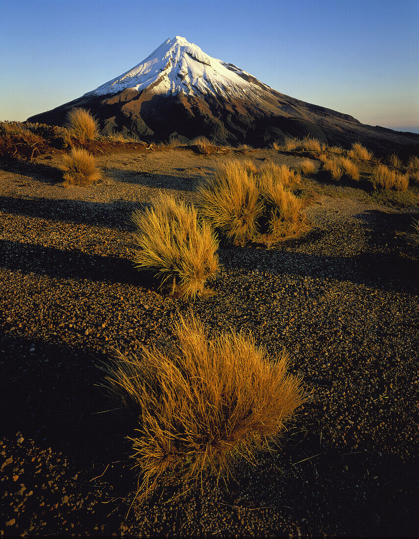 Evening light on Mt Taranaki Egmont National Park New Zealand