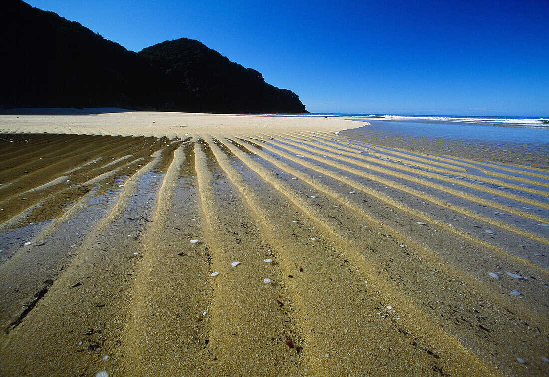 Sandfly Bay at low tide Abel Tasman National Park New Zealand