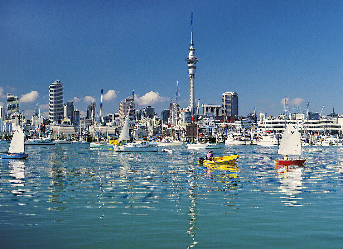 Auckland city and skytower from Westhaven Marina New Zealand