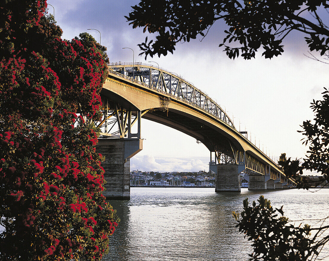 Auckland Harbour Bridge from Northcote New Zealand