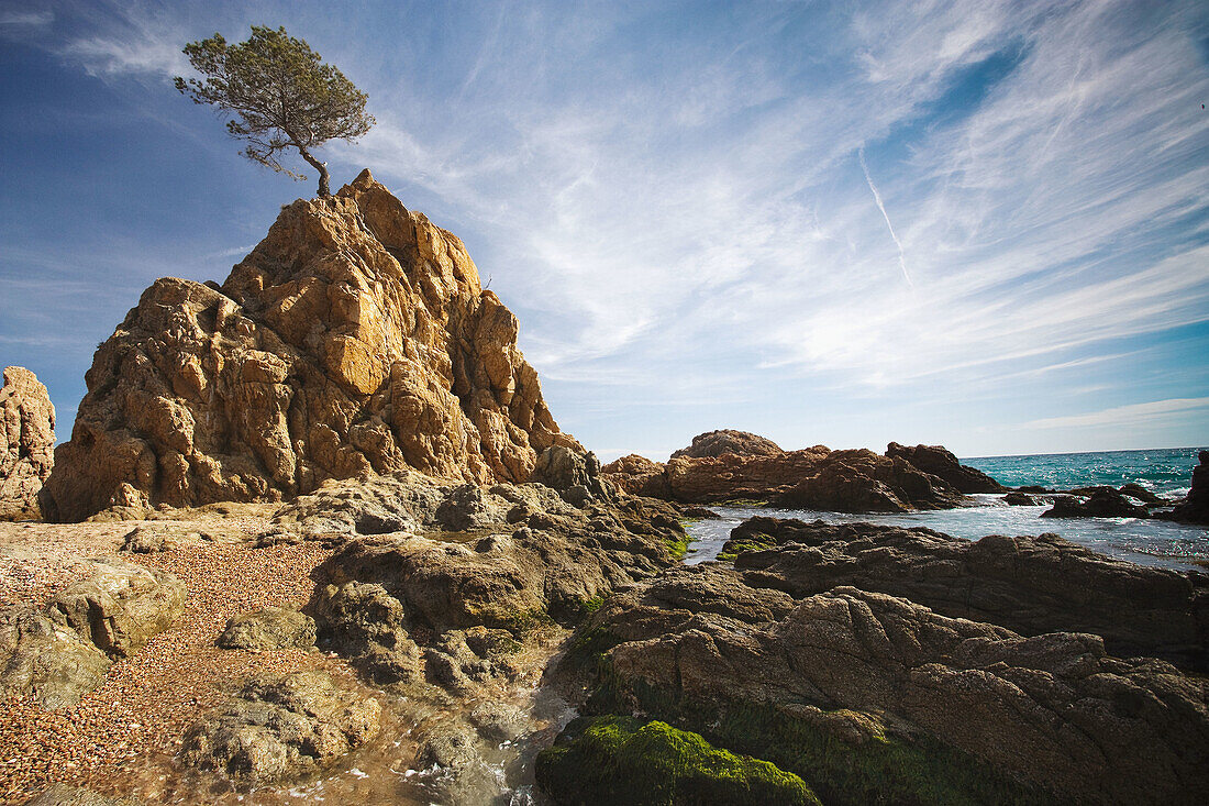 Tossa de Mar  Costa Brava). La Selva. Girona Province. Spain