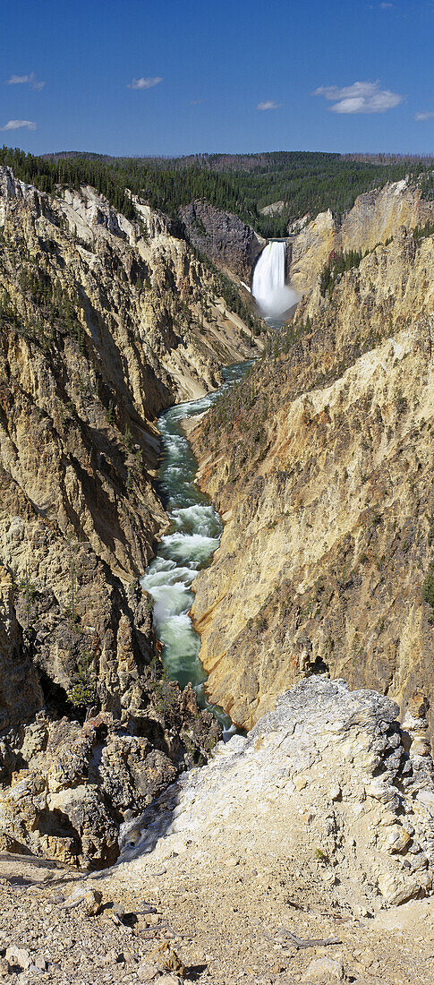 Lower Falls, Yellowstone River, Grand Canyon of the Yellowstone, Yellowstone National Park, Park County, Wyoming, U.S.A.