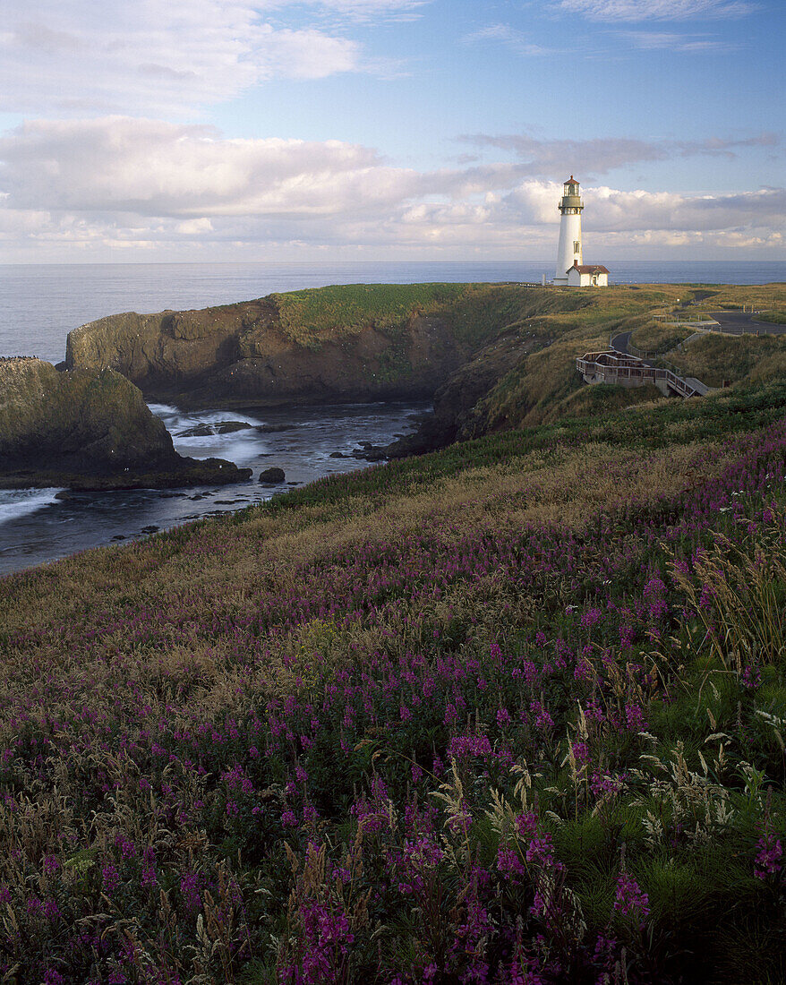 Sunrise on Yaquina Head Lighthouse, Newport, Lincoln County, Oregon, U.S.A.