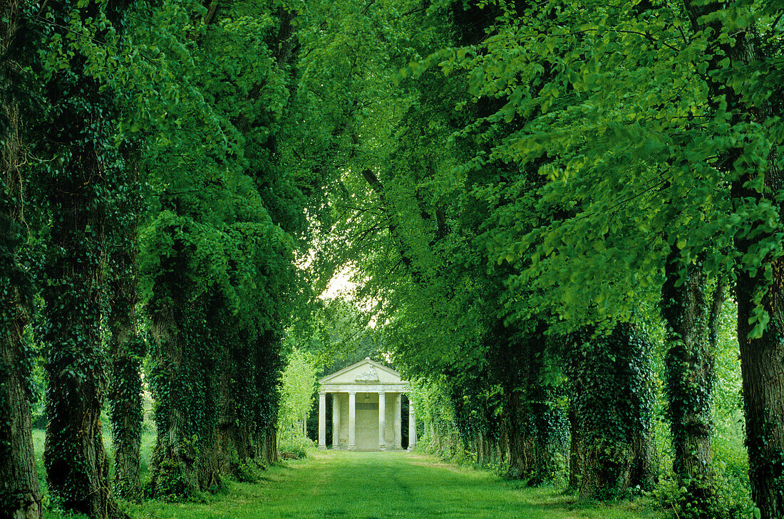 Lime tree alley in the grounds of the castle park, Mezidon-Canon, Normandy, France