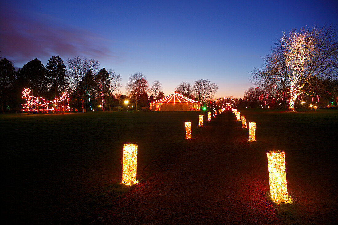 Illumination and Christmas lights at Westfalen park, Dortmund, Ruhr area, NorthRhine-Westphalia, Germany