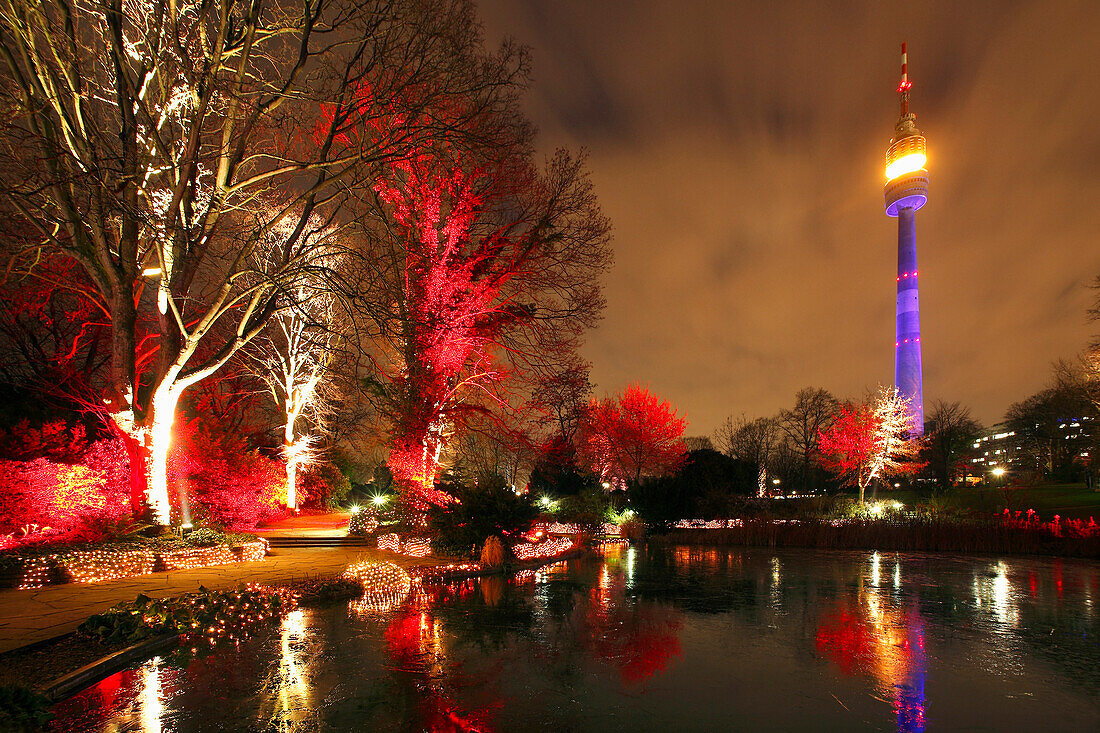 Illumination Winterleuchten at Westfalenpark, Dortmund, Ruhr area, NorthRhine-Westphalia, Germany