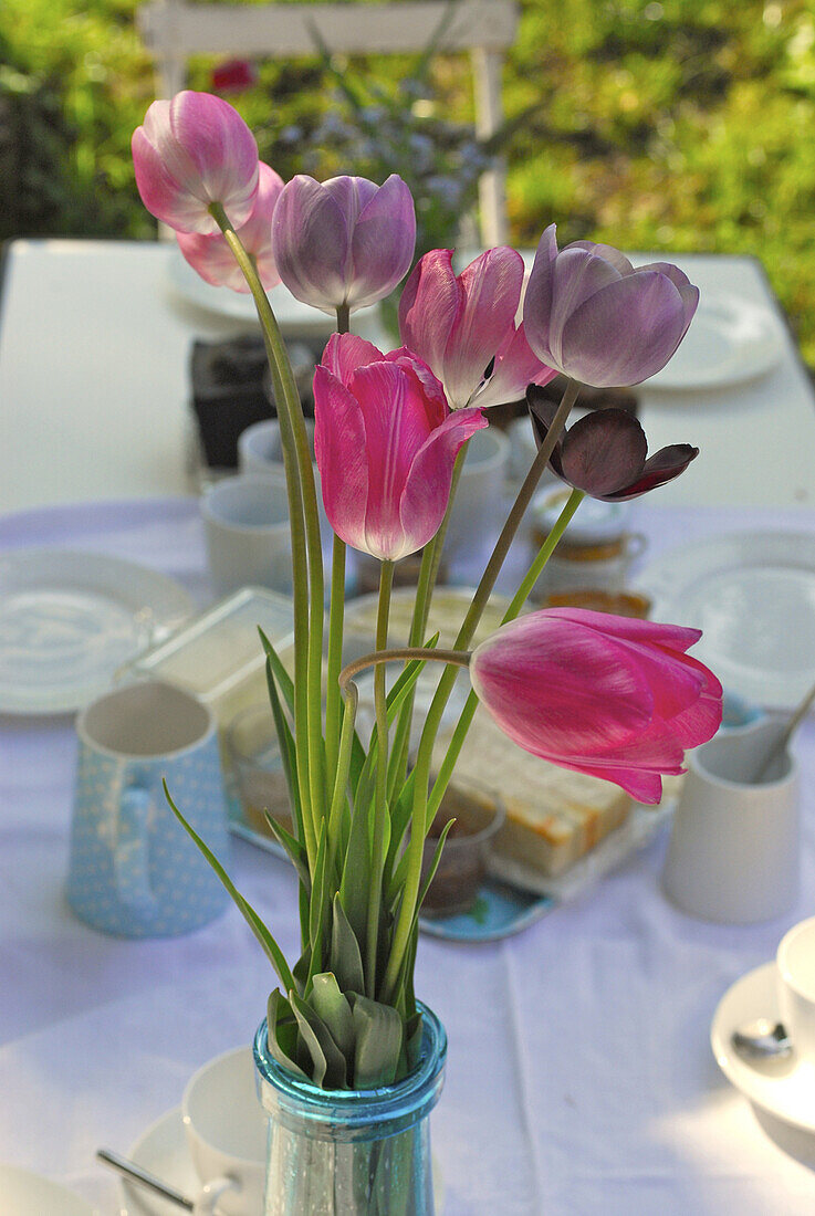 Tulpenstrauß auf ländlichem Frühstückstisch, Deutschland, Europa