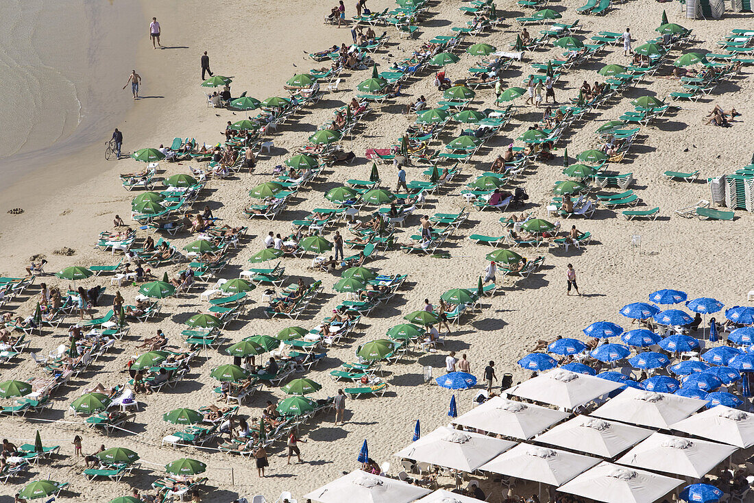Blick auf Sonnenschirme und Menschen am Strand, Gordon Beach, Tel Aviv, Israel, Naher Osten