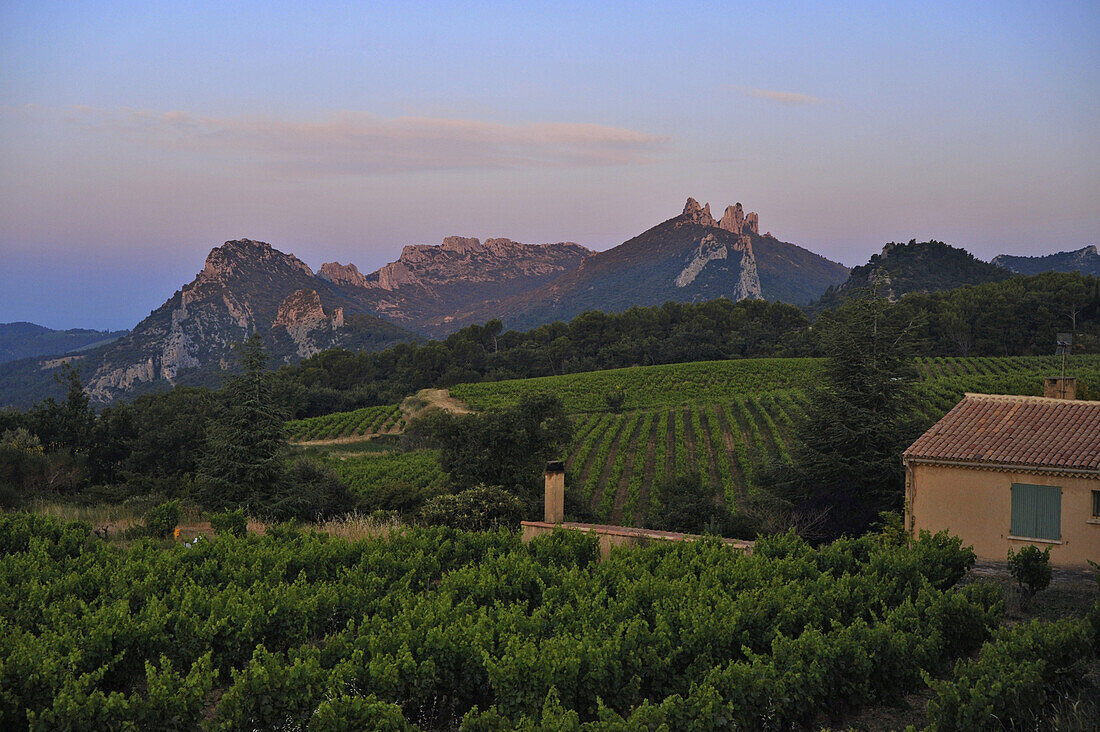Blick auf Felsformation Dentelles de Montmirail in der Abenddämmerung, Vaucluse, Provence, Frankreich, Europa