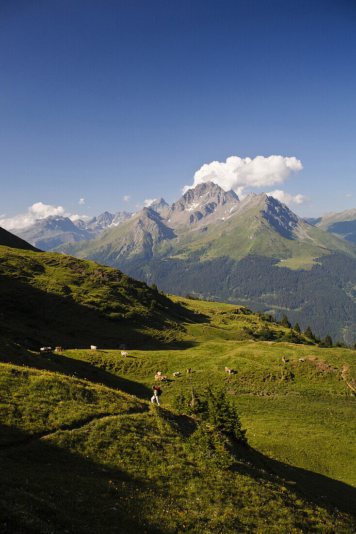 Woman hiking over Alp Nassegl, Savognin, Canton of Grisons, Switzerland