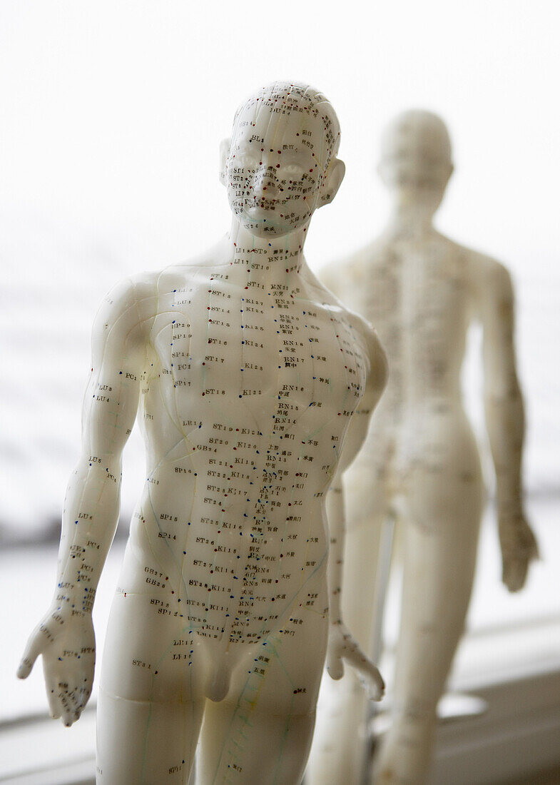 Model for acupuncture