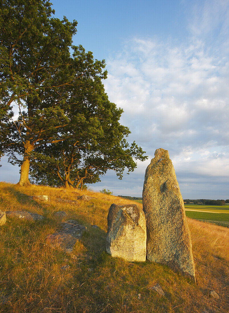 Graves from the Iron Ages., Skane, Sverige