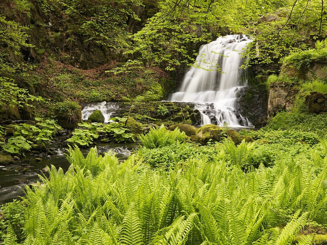 Waterfall in forest, Skane, Sweden