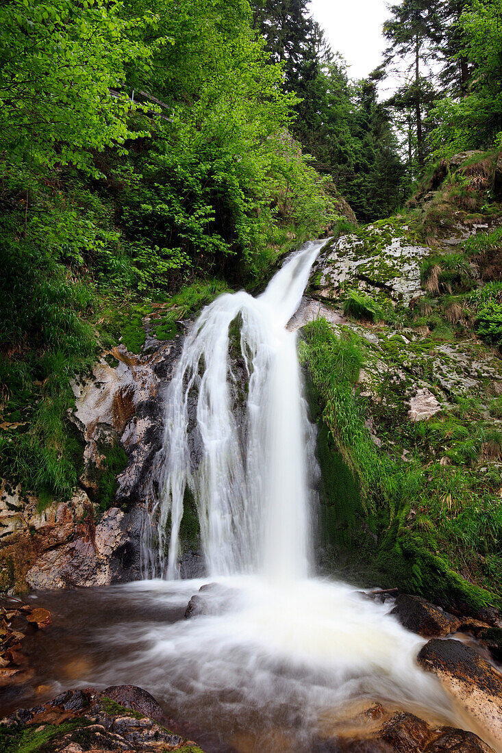 Allerheiligen Wasserfälle zwischen Bäumen, Südlicher Schwarzwald, Baden-Württemberg, Deutschland, Europa