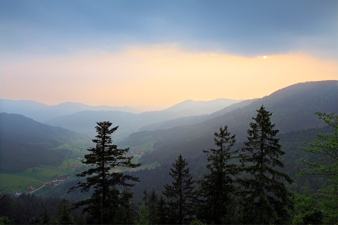 Blick auf Nadelbäume und Berge bei Sonnenuntergang, Mittlerer Schwarzwald, Baden-Württemberg, Deutschland, Europa