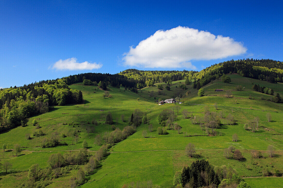 Black Forest houses at a mountain side under blue sky, Black Forest, Baden-Württemberg, Germany, Europe