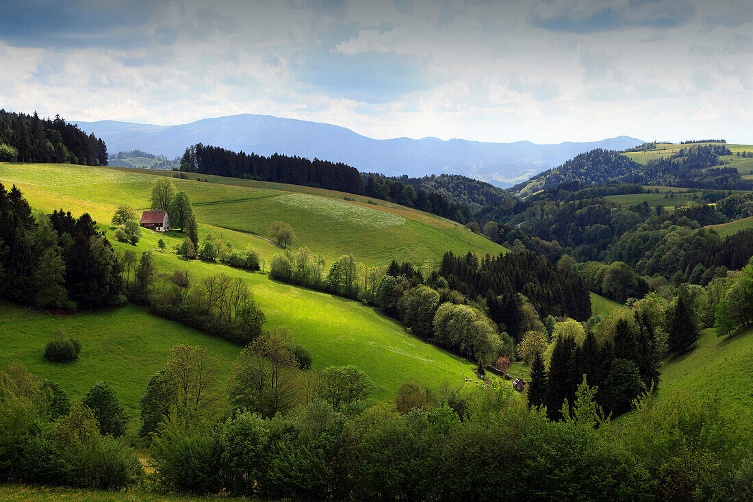 Grüne Landschaft unter Wolkenhimmel, Südlicher Schwarzwald, Baden-Württemberg, Deutschland, Europa