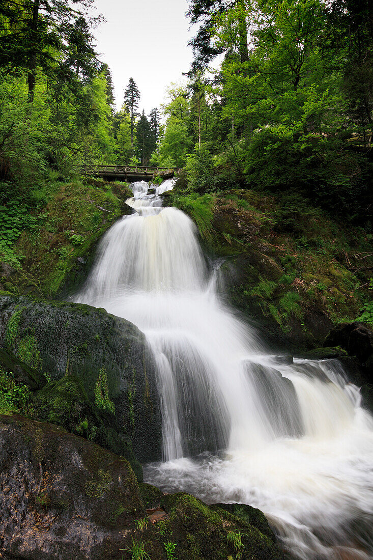 Lower cascade of Triberg waterfall, Triberg, Black Forest, Baden-Württemberg, Germany, Europe