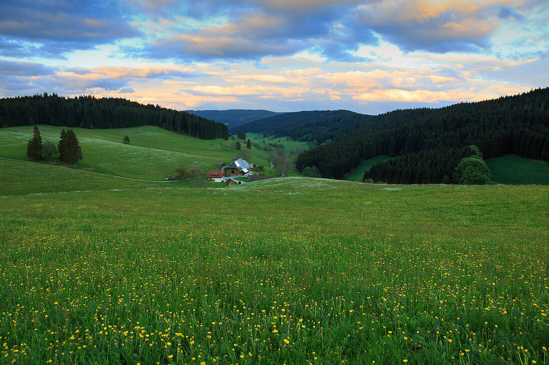 Schwarzwaldhaus an der Schildwende unter abendlichem Wolkenhimmel, Südlicher Schwarzwald, Baden-Württemberg, Deutschland, Europa