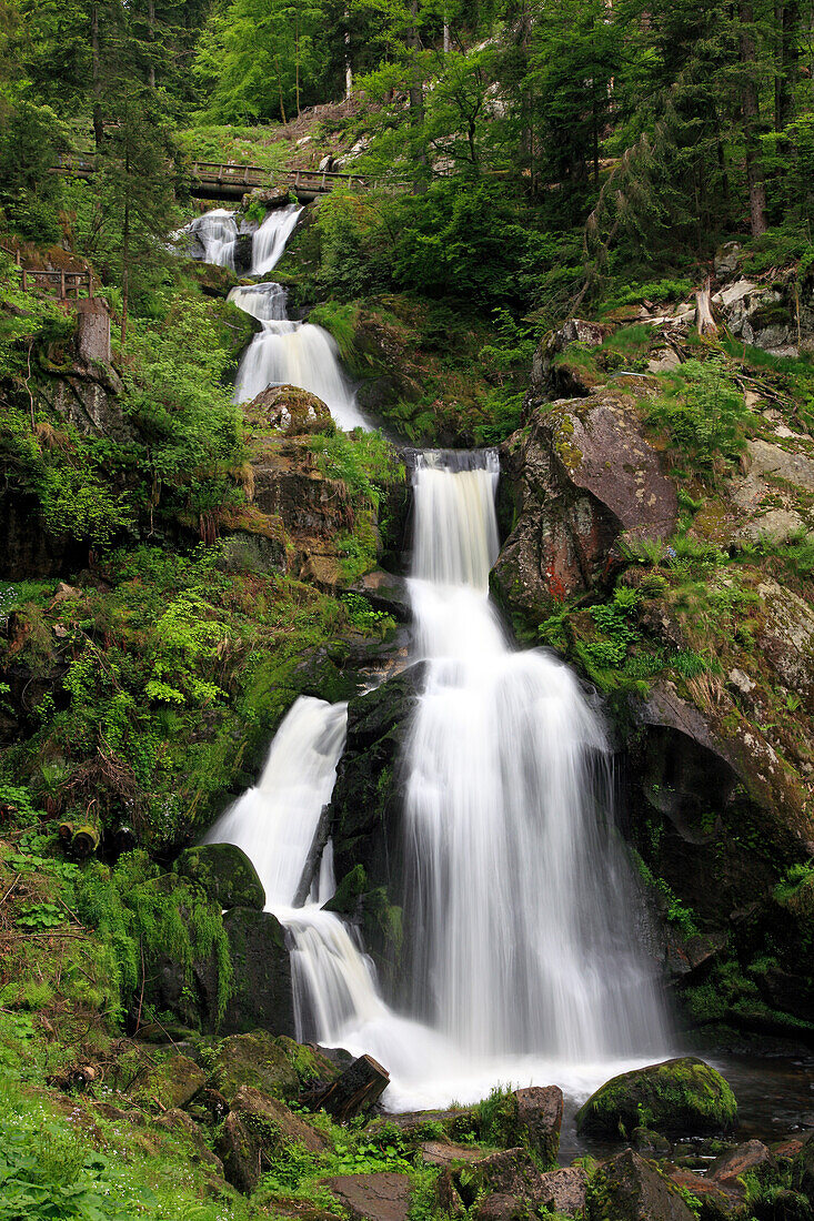 Triberger Wasserfälle, Triberg, Südlicher Schwarzwald, Baden-Württemberg, Deutschland, Europa