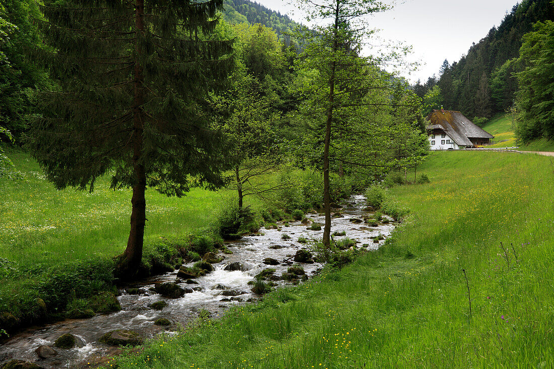 Schwarzwaldhaus im oberen Elztal, Südlicher Schwarzwald, Baden-Württemberg, Deutschland, Europa