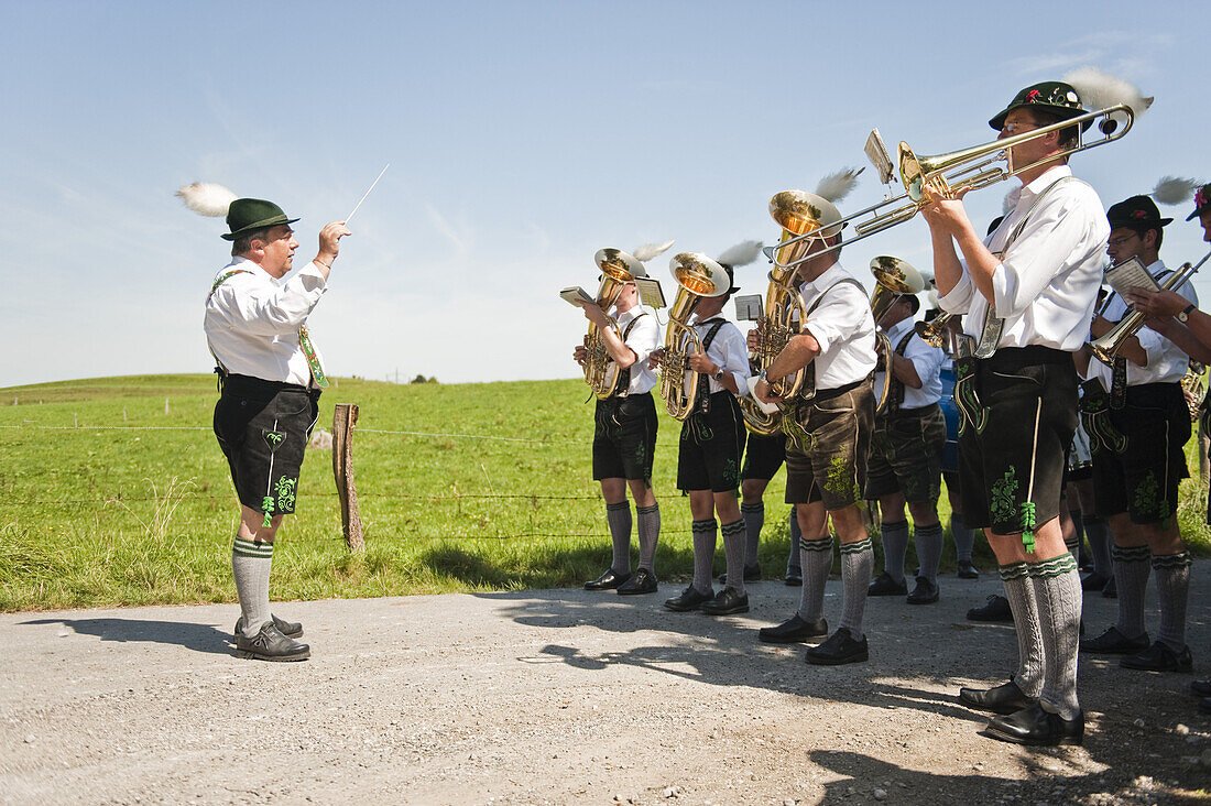 Ochsenrennen, Haunshofen, Wielenbach, Oberbayern, Bayern, Deutschland