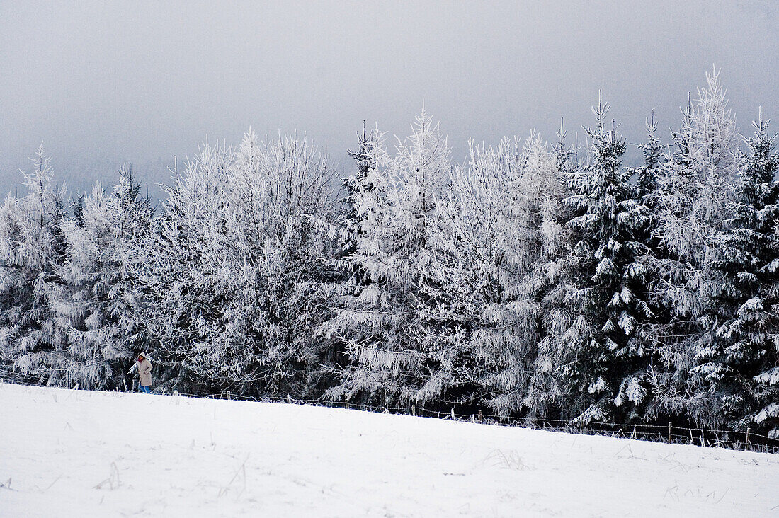 Winter scenery, Tegernseer Land, Upper Bavaria, Germany